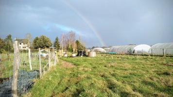 image Chantiers ouverts à la Pépille - janvier 2024